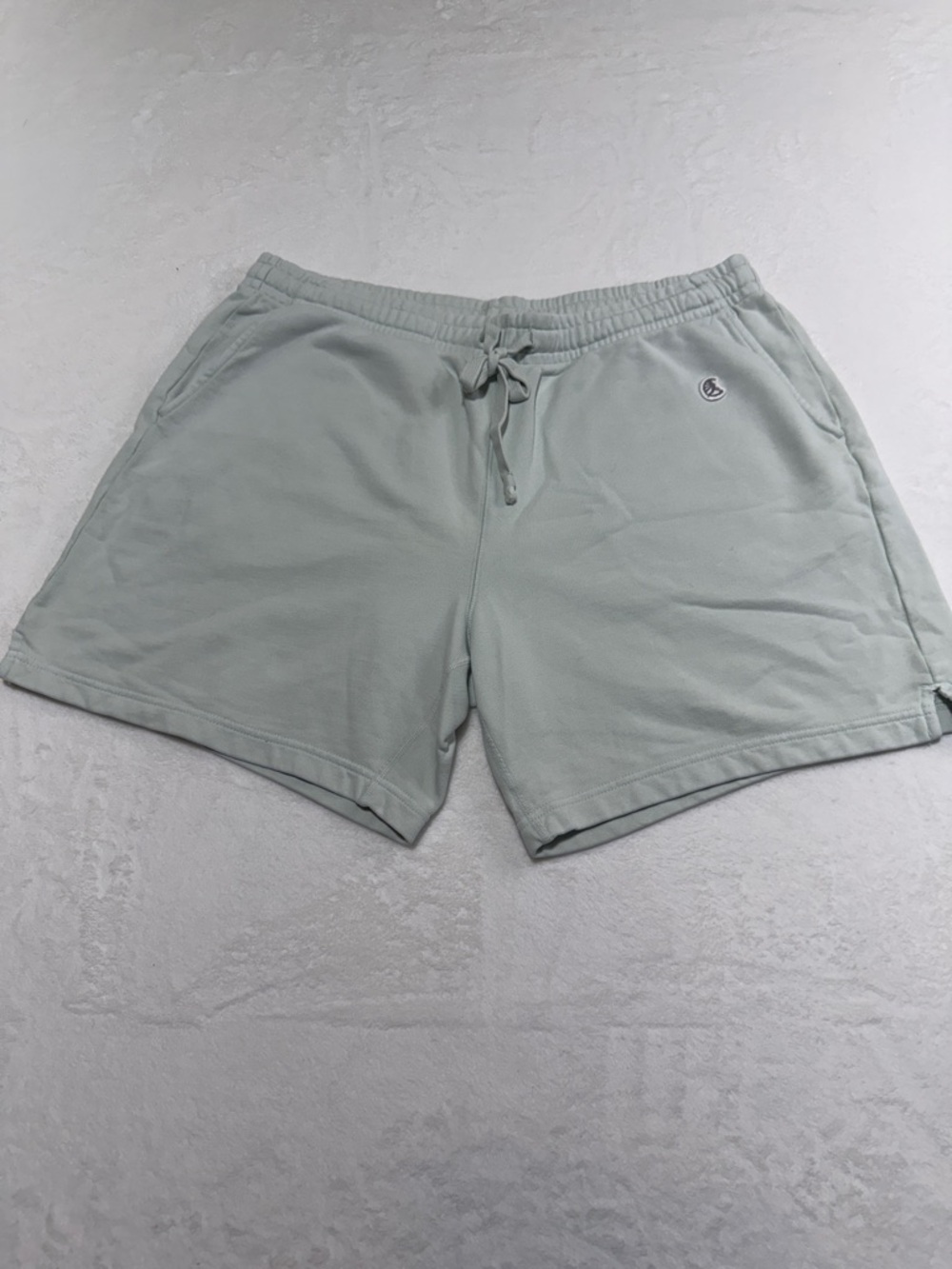 Champion + Todd Snyder Men's Light Sage Athletic Drawstring Shorts